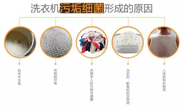 洗衣机不清洗究竟多脏？