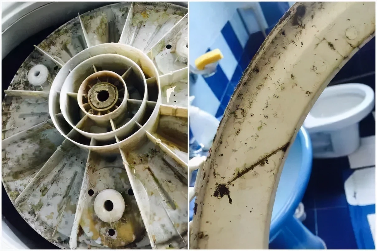 洗衣机不清洗究竟多脏？