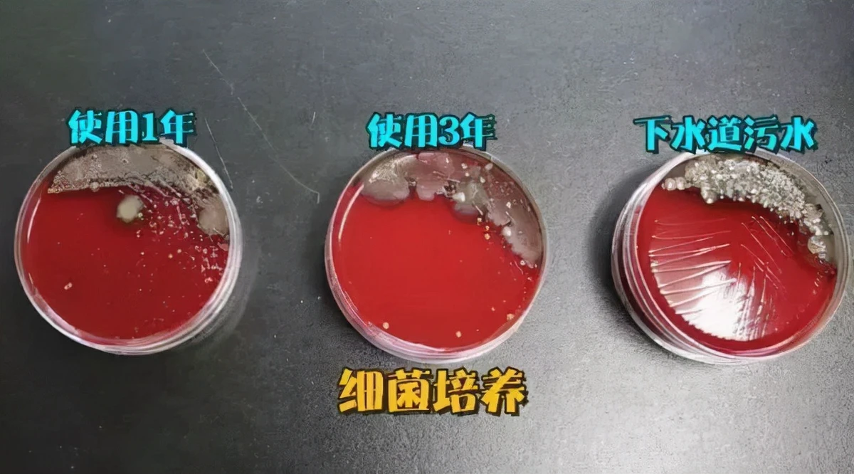 洗衣机不清洗究竟多脏？