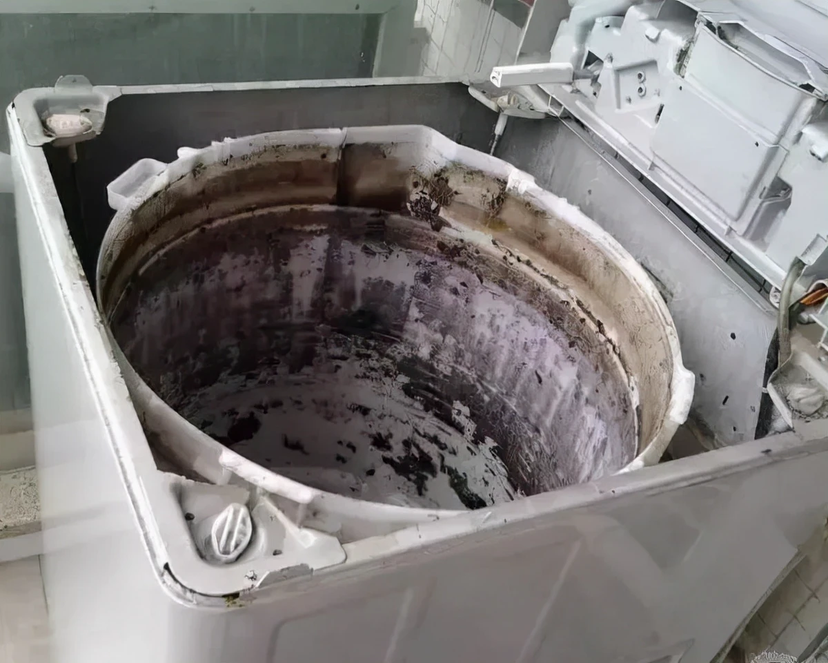 洗衣机不清洗究竟多脏？